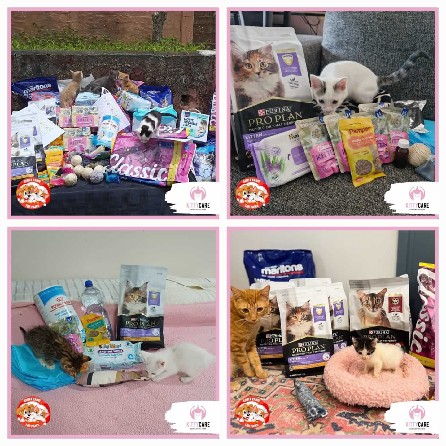KittyCare Durban